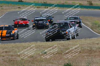 media/May-04-2024-Lucky Dog Racing (Sat) [[d39539b3f3]]/Race Pics/1015am (Turn 2)/